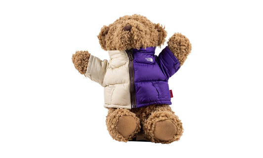 Supreme The North Face Bear